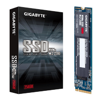 Gigabyte 256GB 2280 M.2 SSD - Up to 1700/1100 MB/s