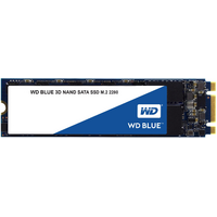 Western Digital Blue 250GB 2280 M.2 SSD - Up to 560/530 MB/s