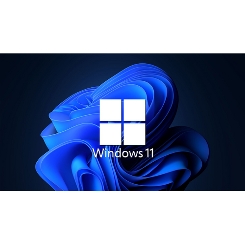 Microsoft Windows 11 Pro DVD - 64Bit